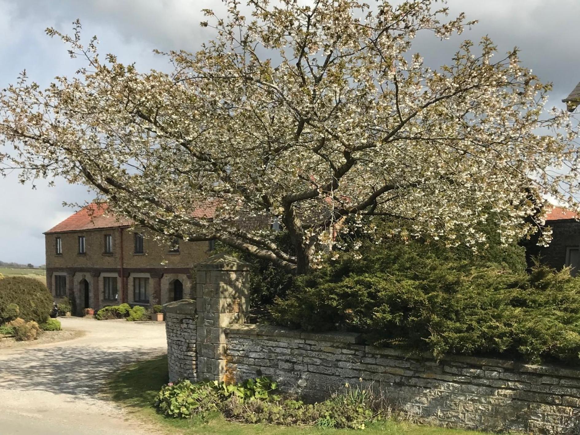 Willa Phlomis York Zewnętrze zdjęcie